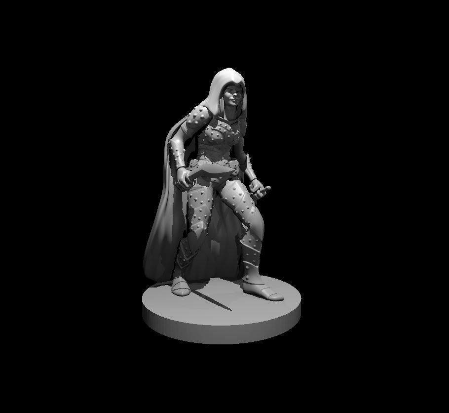 Human Male Rogue - G3DR Miniature D&D